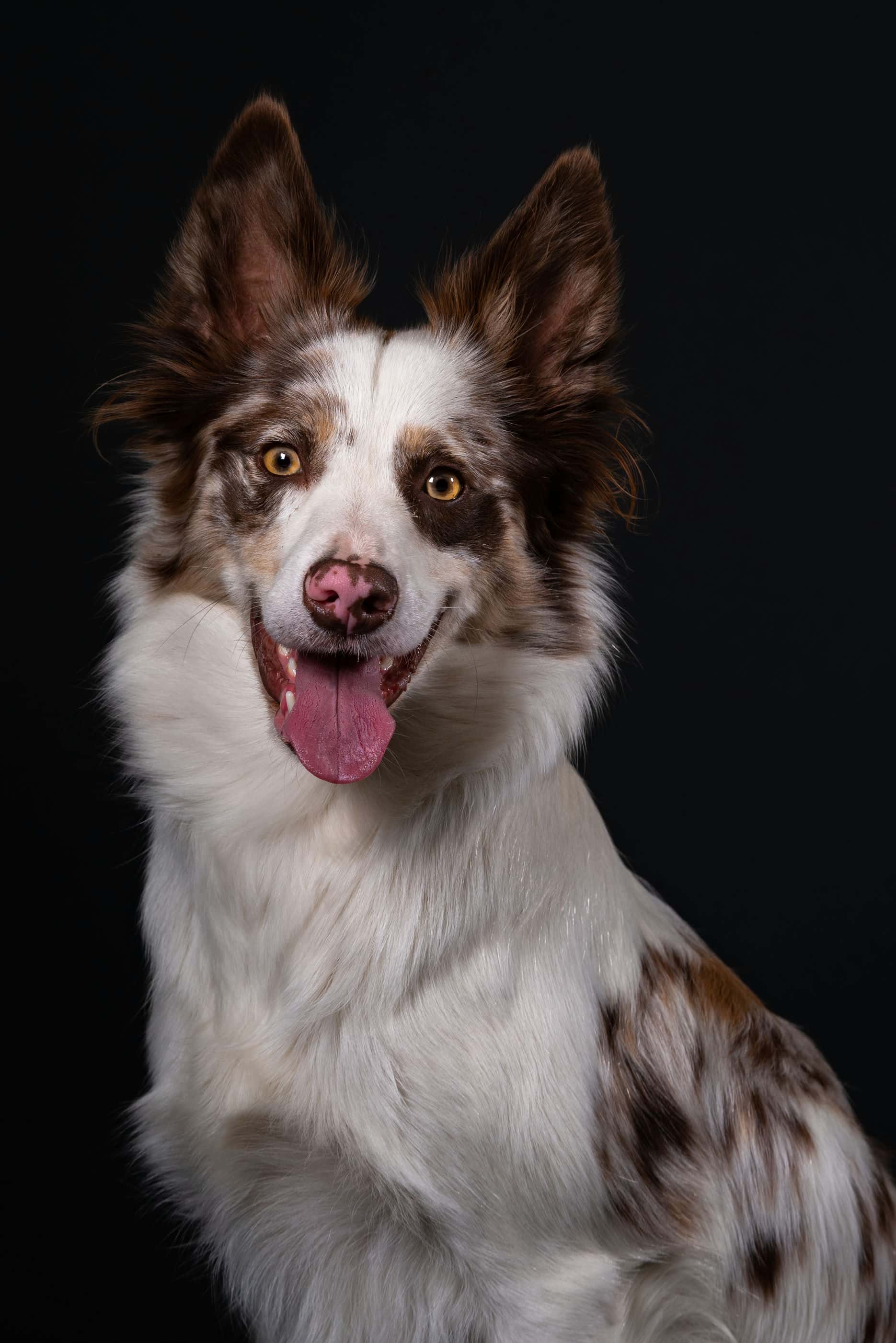 logo-ub-photographies