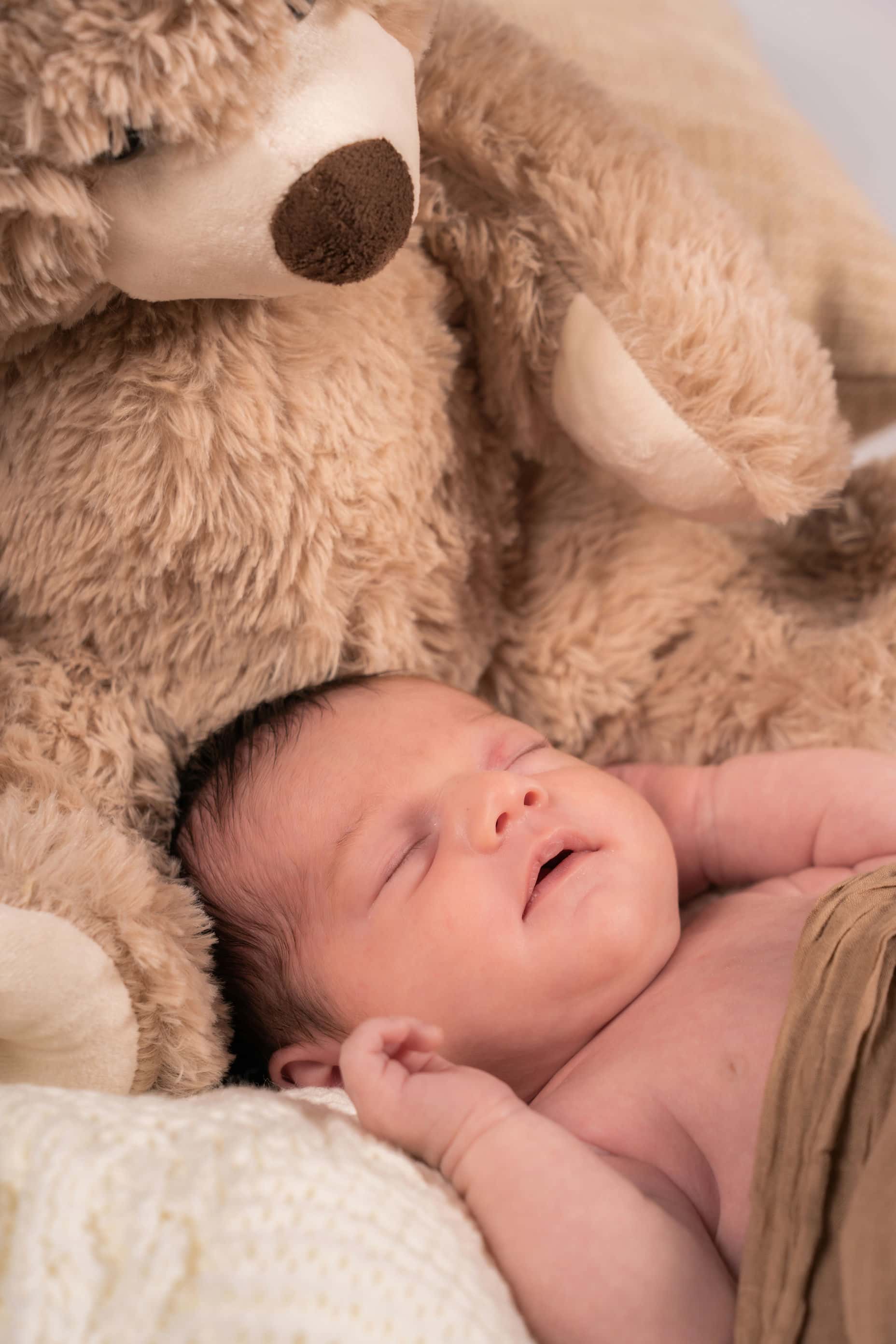 logo-ub-photographies